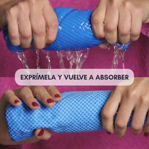 Absorpet - Toalla Ultra Absorbente para Perros
