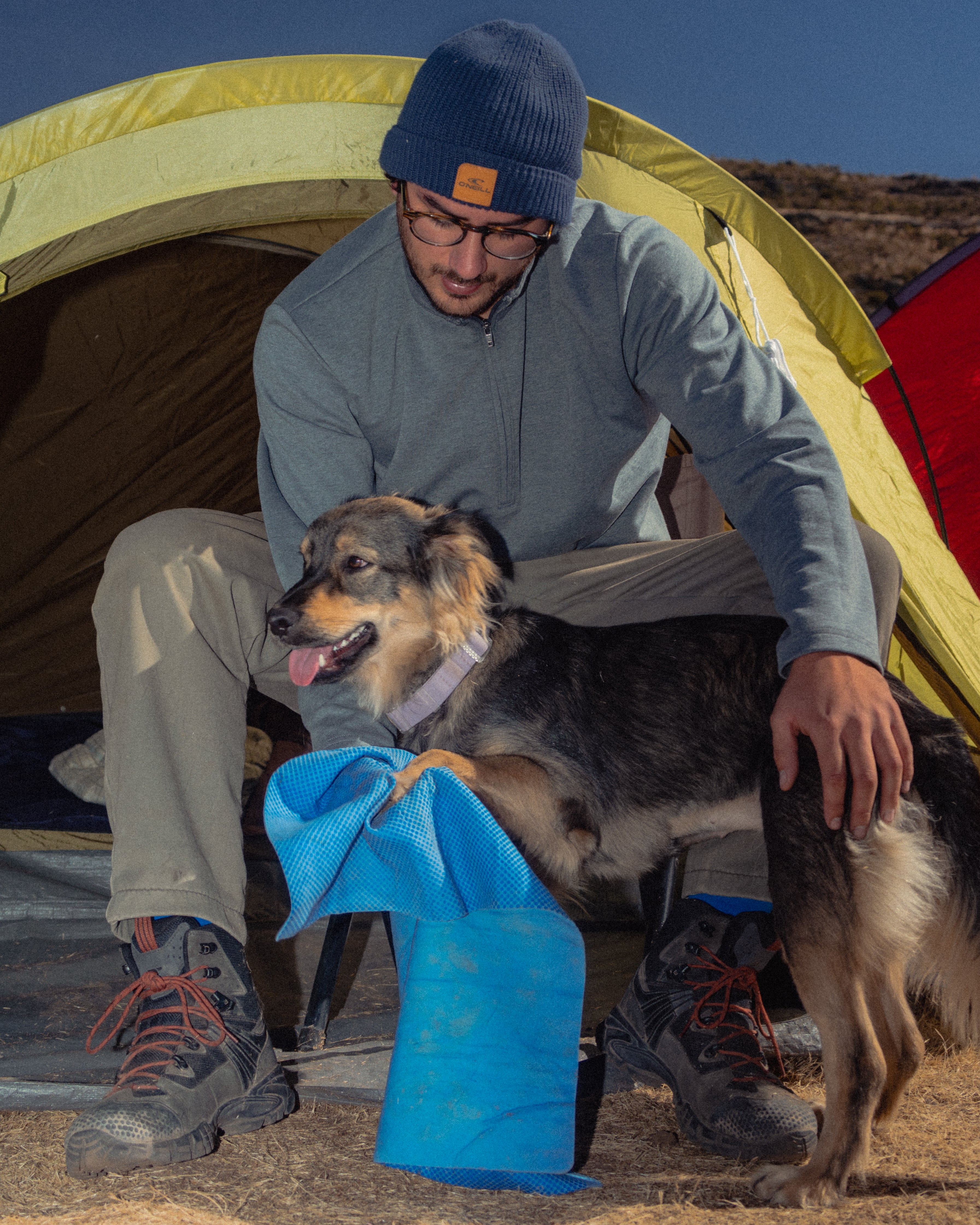 Absorpet - Toalla Ultra Absorbente para Perros