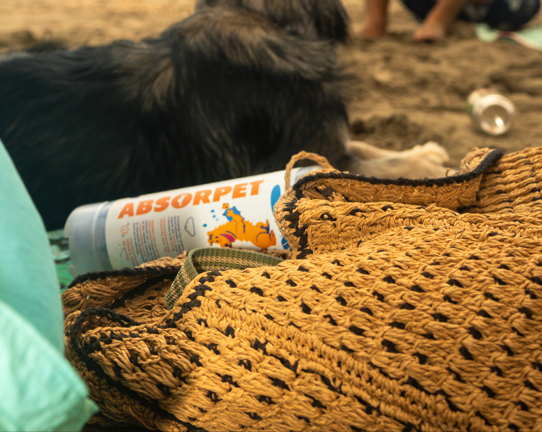 Absorpet - Toalla Ultra Absorbente para Perros