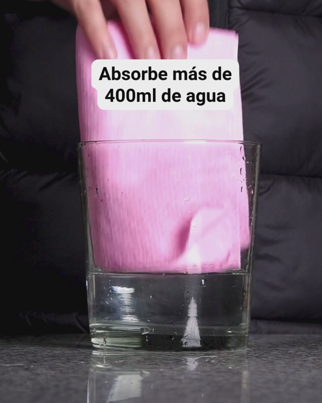 Absorpet - Toalla Ultra Absorbente para Perros