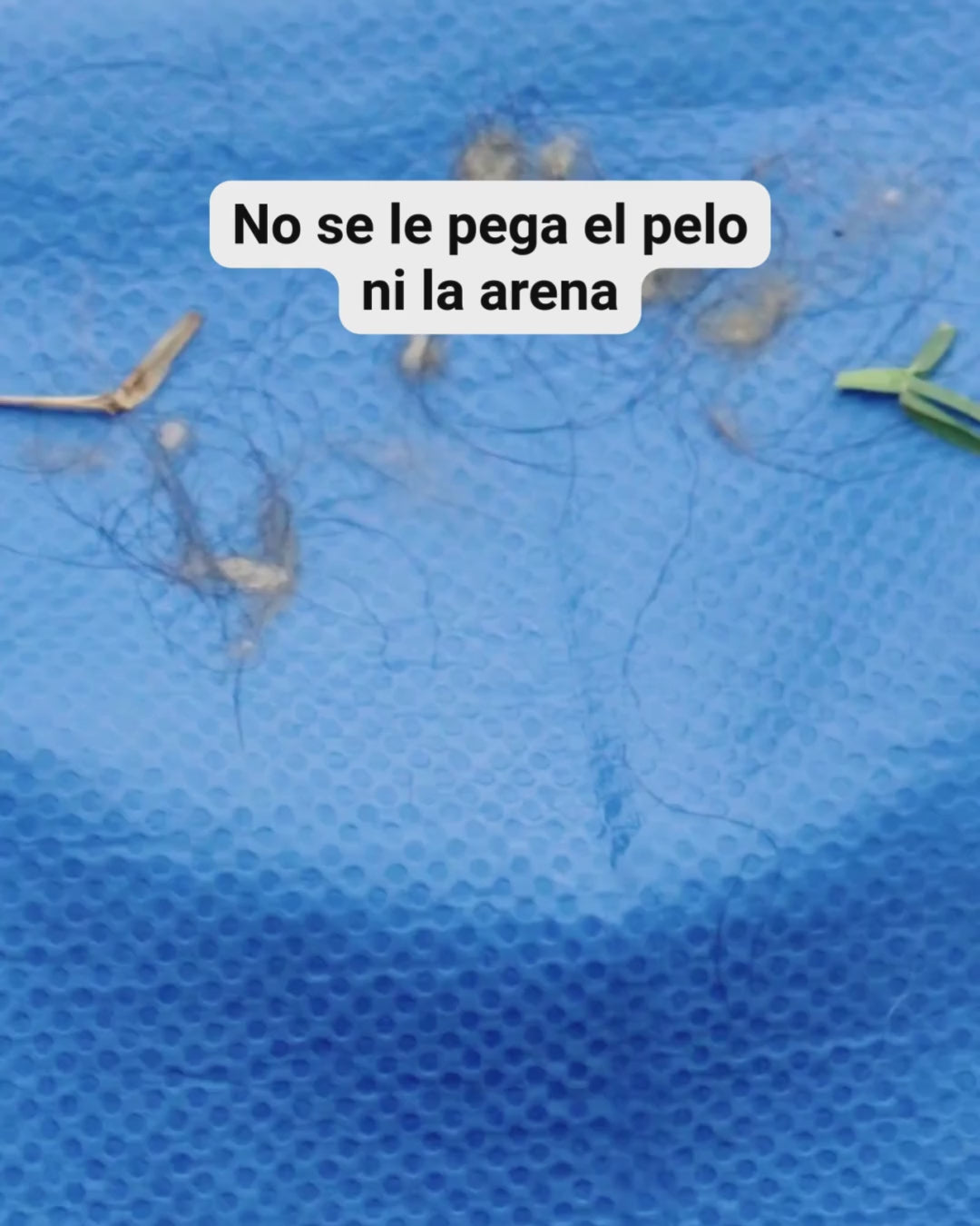 Absorpet - Toalla Ultra Absorbente para Perros