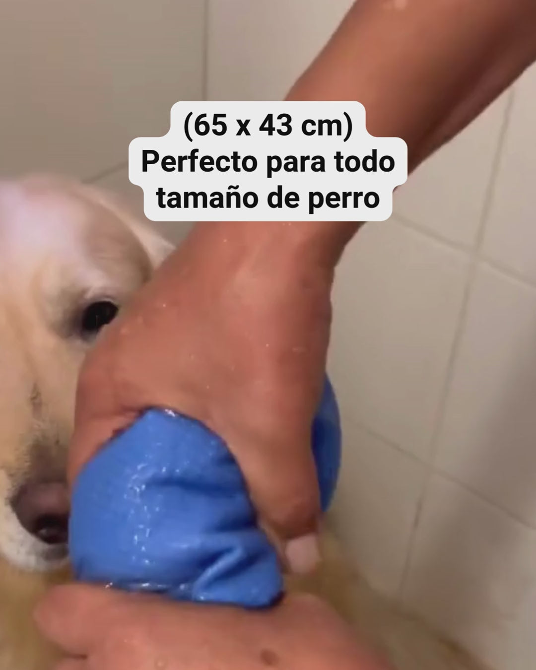 Absorpet - Toalla Ultra Absorbente para Perros